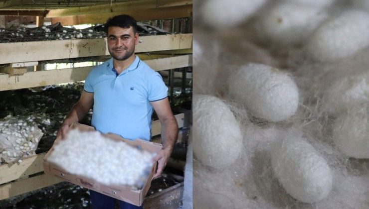 Bir Kutusundan Asgari Ücretin Üzerinde Para Kazanıyorlar!