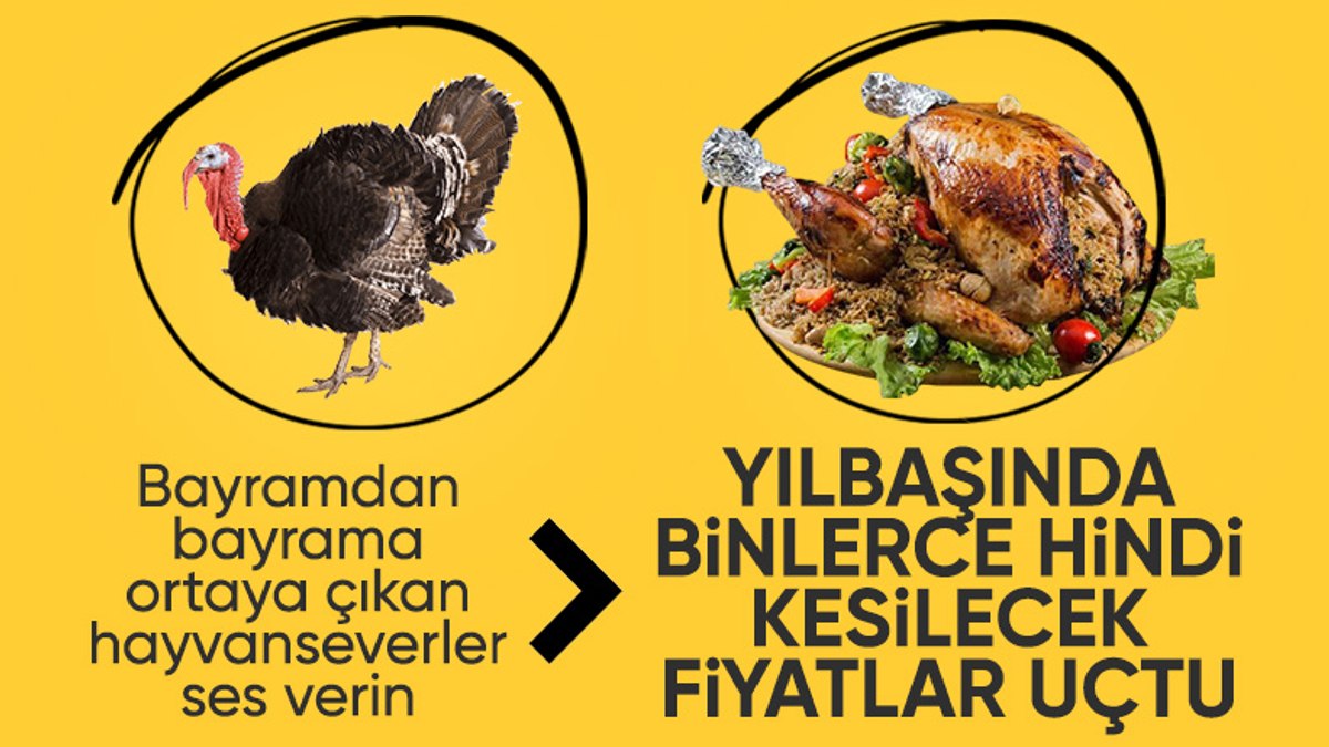 Hakkari’de yılbaşı öncesi hindiler satışa çıktı: Fiyatı 4 bin lirayı buluyor