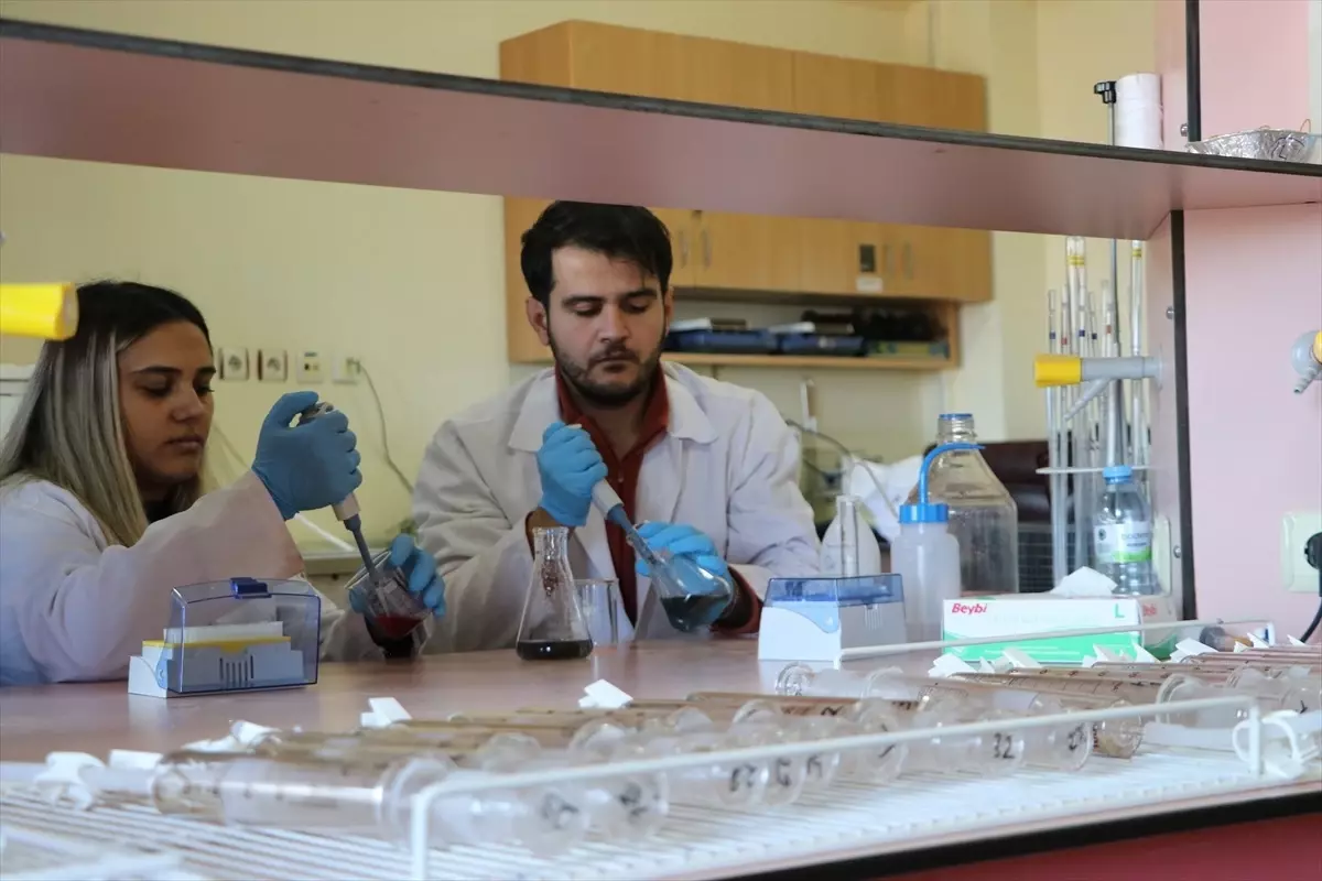 KSÜ’den Atık Şişe ile Ekonomik Sindirim Sistemi