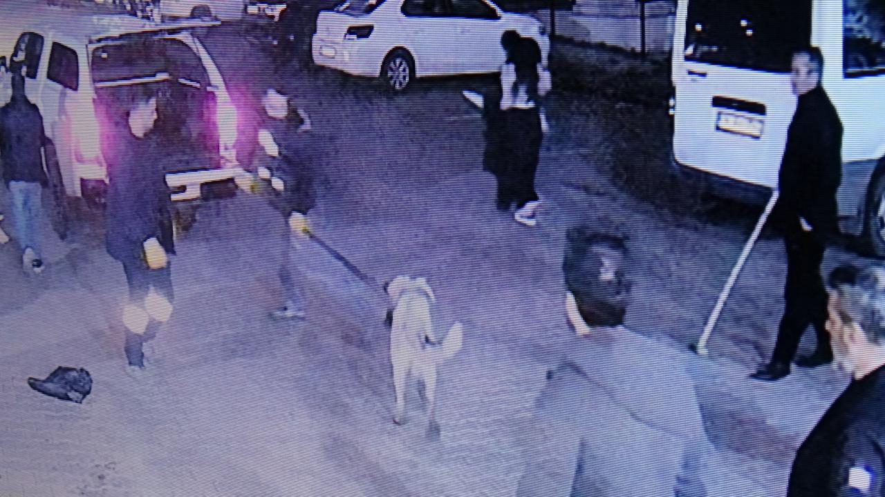 Diyarbakır’da başıboş köpek 3 kişiye saldırdı