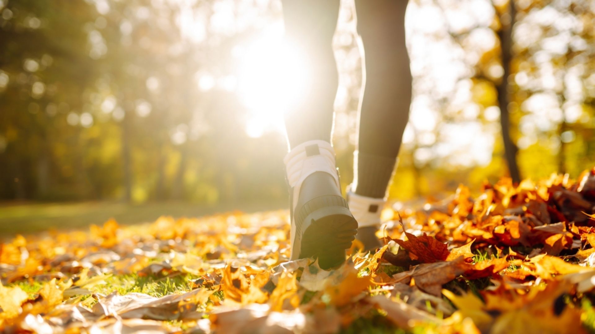 Günde 10 bin adım atmak faydalı mı?