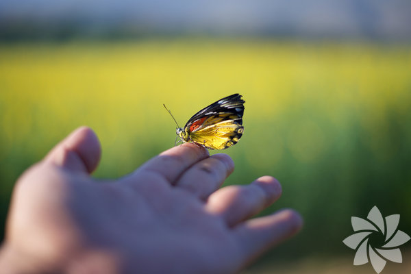 Yirmili yaşlar için 20 tavsiye